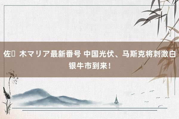 佐々木マリア最新番号 中国光伏、马斯克将刺激白银牛市到来！