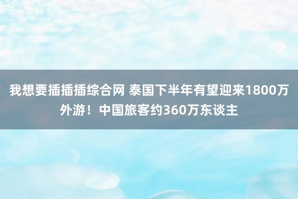 我想要插插插综合网 泰国下半年有望迎来1800万外游！中国旅客约360万东谈主