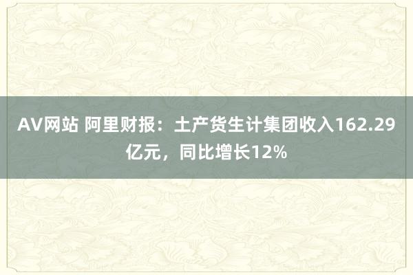 AV网站 阿里财报：土产货生计集团收入162.29亿元，同比增长12%