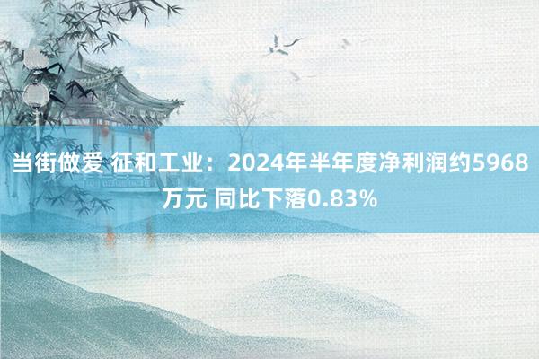 当街做爱 征和工业：2024年半年度净利润约5968万元 同比下落0.83%