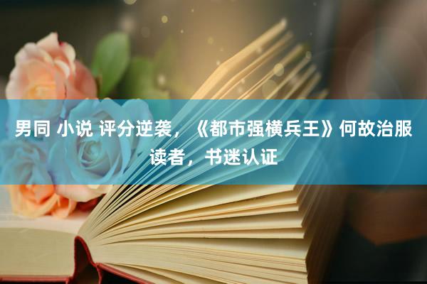 男同 小说 评分逆袭，《都市强横兵王》何故治服读者，书迷认证