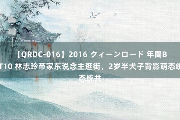 【QRDC-016】2016 クィーンロード 年間BEST10 林志玲带家东说念主逛街，2岁半犬子背影萌态统共