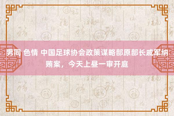 男同 色情 中国足球协会政策谋略部原部长戚军纳贿案，今天上昼一审开庭