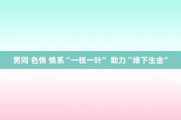 男同 色情 情系“一枝一叶” 助力“绿下生金”