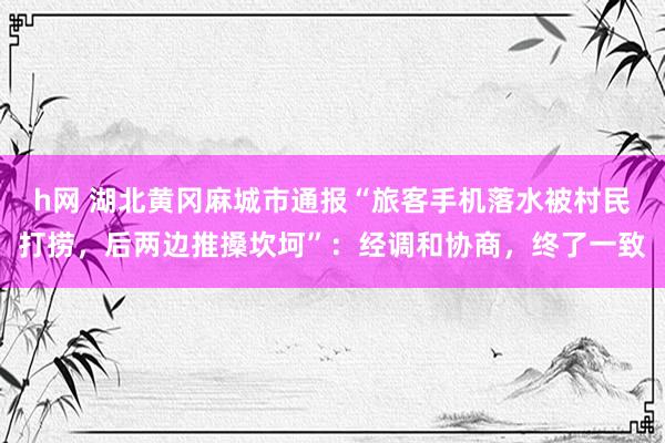 h网 湖北黄冈麻城市通报“旅客手机落水被村民打捞，后两边推搡坎坷”：经调和协商，终了一致