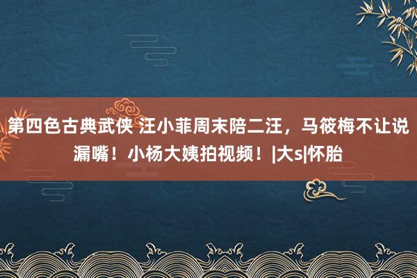 第四色古典武侠 汪小菲周末陪二汪，马筱梅不让说漏嘴！小杨大姨拍视频！|大s|怀胎