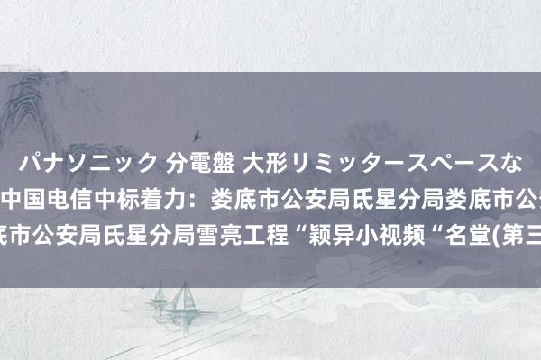 パナソニック 分電盤 大形リミッタースペースなし 露出・半埋込両用形 中国电信中标着力：娄底市公安局氐星分局娄底市公安局氏星分局雪亮工程“颖异小视频“名堂(第三期)公开招标中标公告