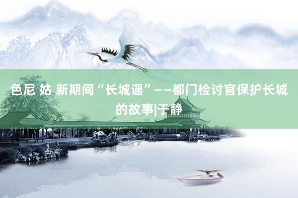 色尼 姑 新期间“长城谣”——都门检讨官保护长城的故事|于静